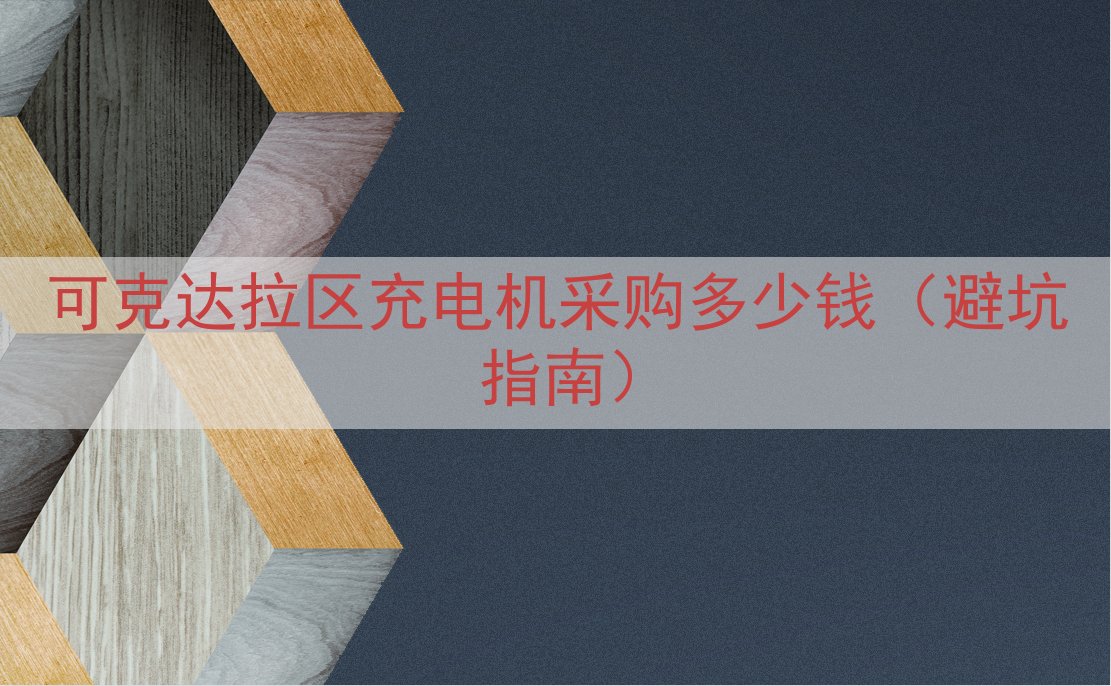 可克达拉区充电机采购多少钱（避坑指南）
